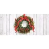 My Door Decor 36 In. X 80 In. Santa And Rudolph-Christmas Front Door Decor Mural